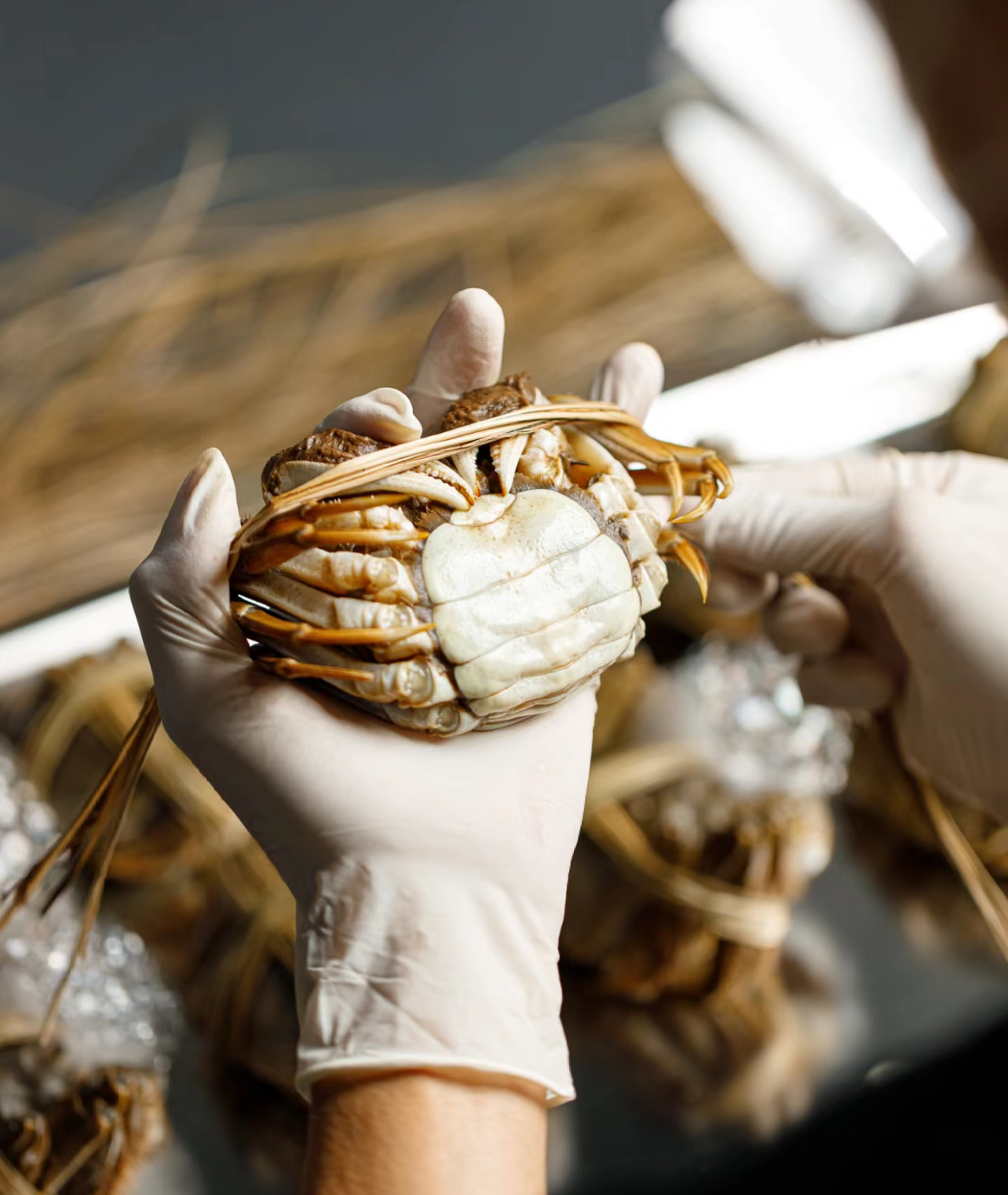 中秋送礼大闸蟹姜醋蘸料常见问题