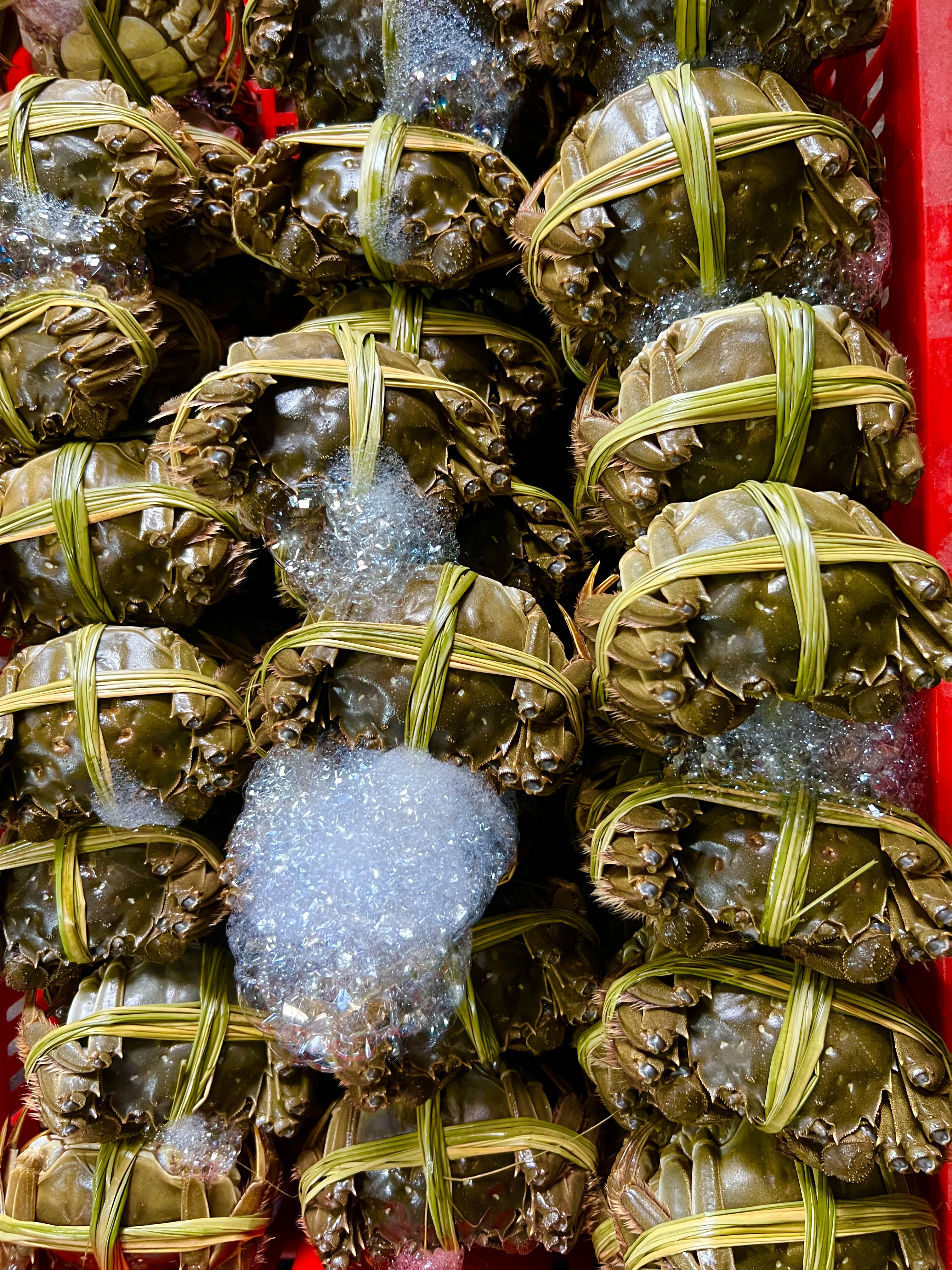 两人对食如何避开大闸蟹规格大小坑?