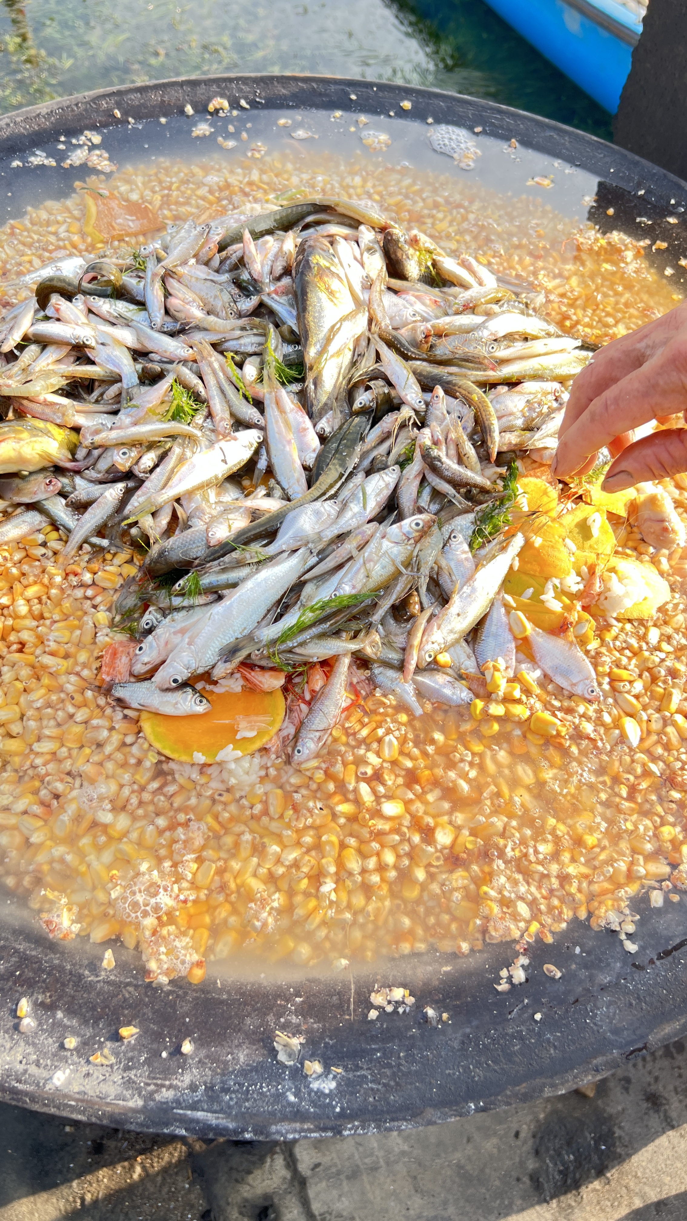 深秋品蟹为什么要重视大闸蟹姜醋蘸料?