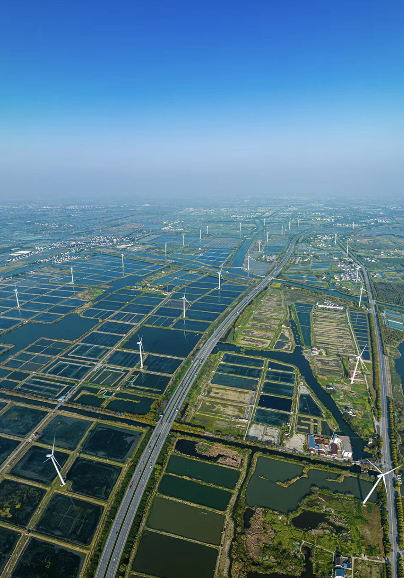 中秋送礼常问:大闸蟹养殖周期是什么?
