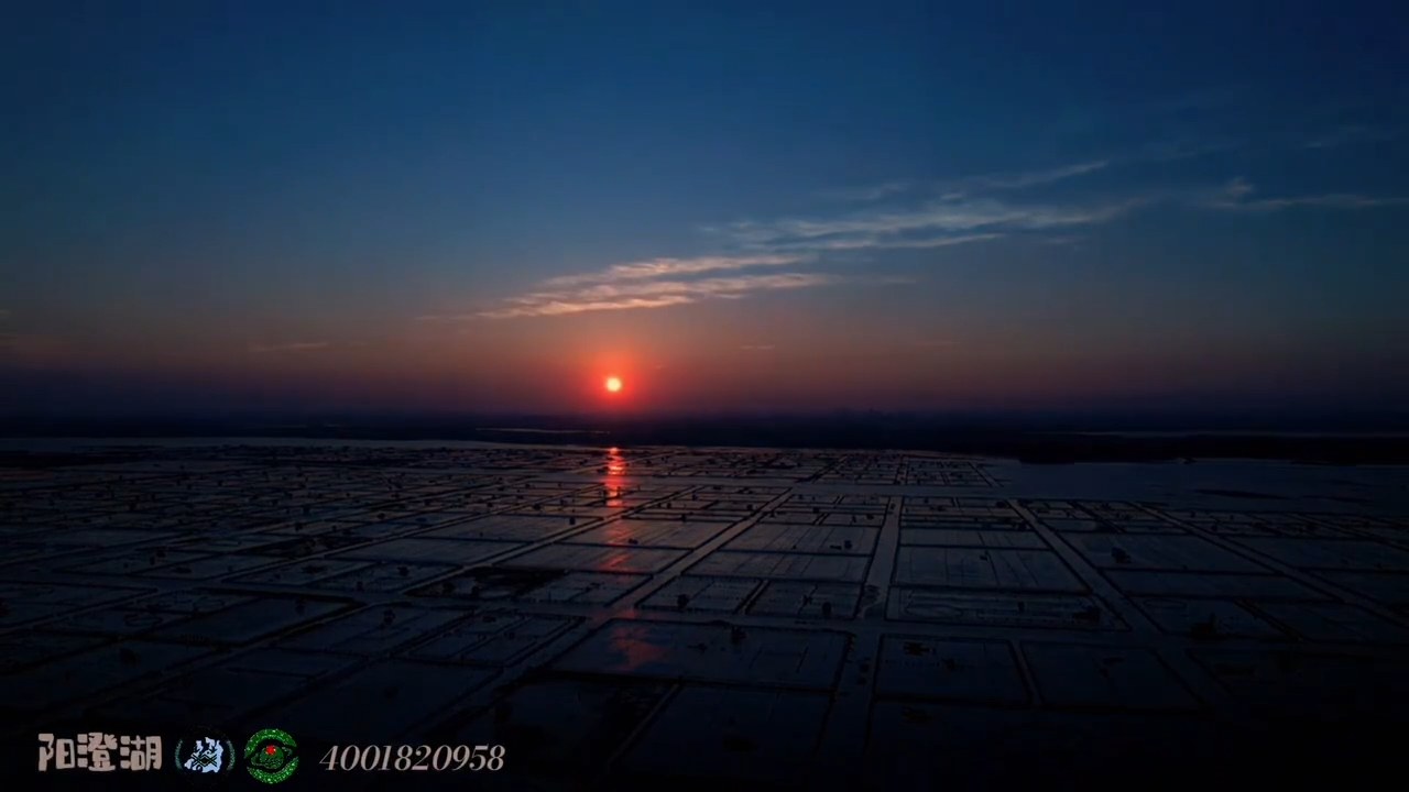 海上月 | 一轮明月映湖水，百载匠心育金鳞